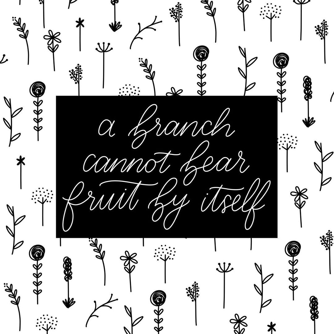 a branch cannot bear fruit by itself